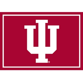 Indiana University 3x4 Area Rug (4000293219), 5010IND1
